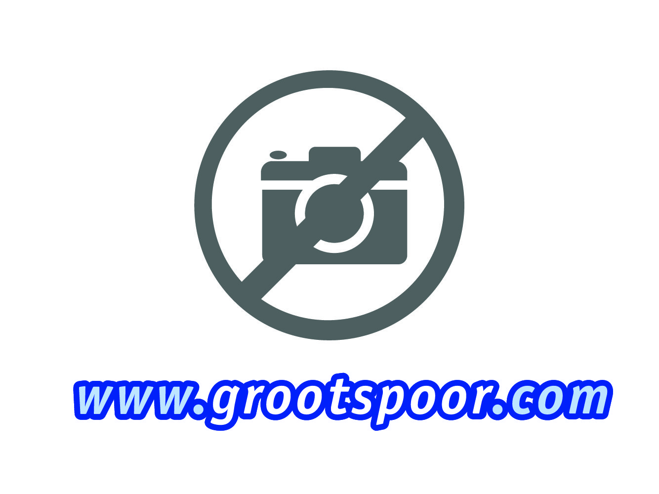 ZIMO MX685 Funktionsdecoder, 6 Funktionsausgänge, 2 Servoausgänge, offene  Kabelenden | grootspoor.com