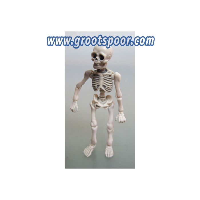 Prehm-Miniaturen 550207 Skelett Mensch