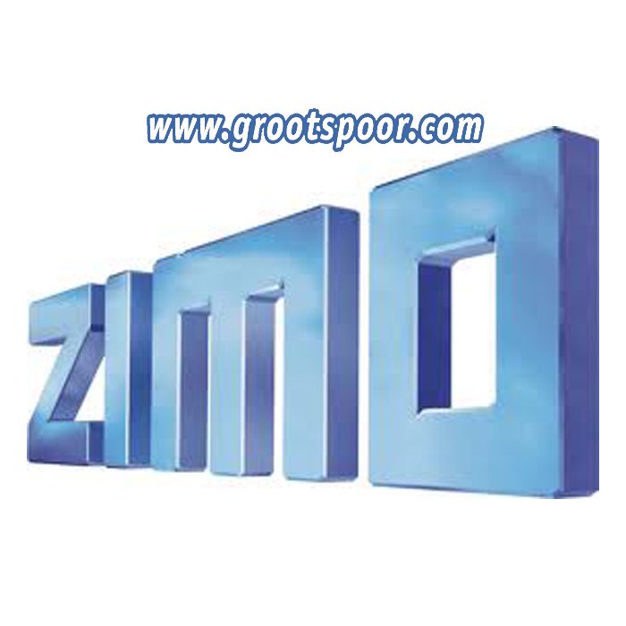 ZIMO MX1DIS Externes Display für MX1EC mit Kabel 1m