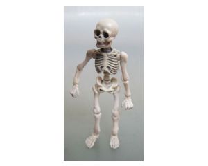 Prehm-Miniaturen 550207 Skelett Mensch