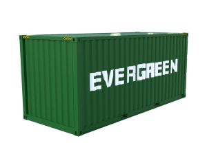 Schaal 1 Kiss 561 103 Container EVERGREEN 20 ft