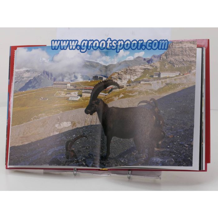 Boek Jungfraujoch top of Europe. Erlebnis Jungfraubahn - Jungfrau Railway Experience van Schweiz Tourismus #4748